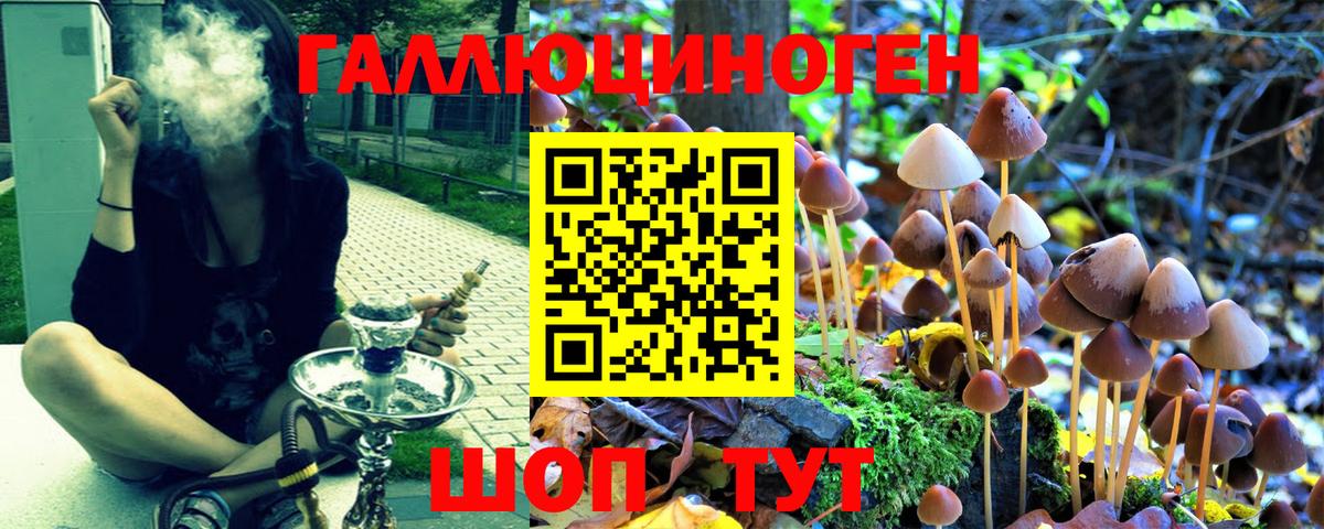 Севастополь  Псилоцибиновые грибы Psilocybine cubensis  Галлюциногенные грибы мухоморы  Вход с VPN 