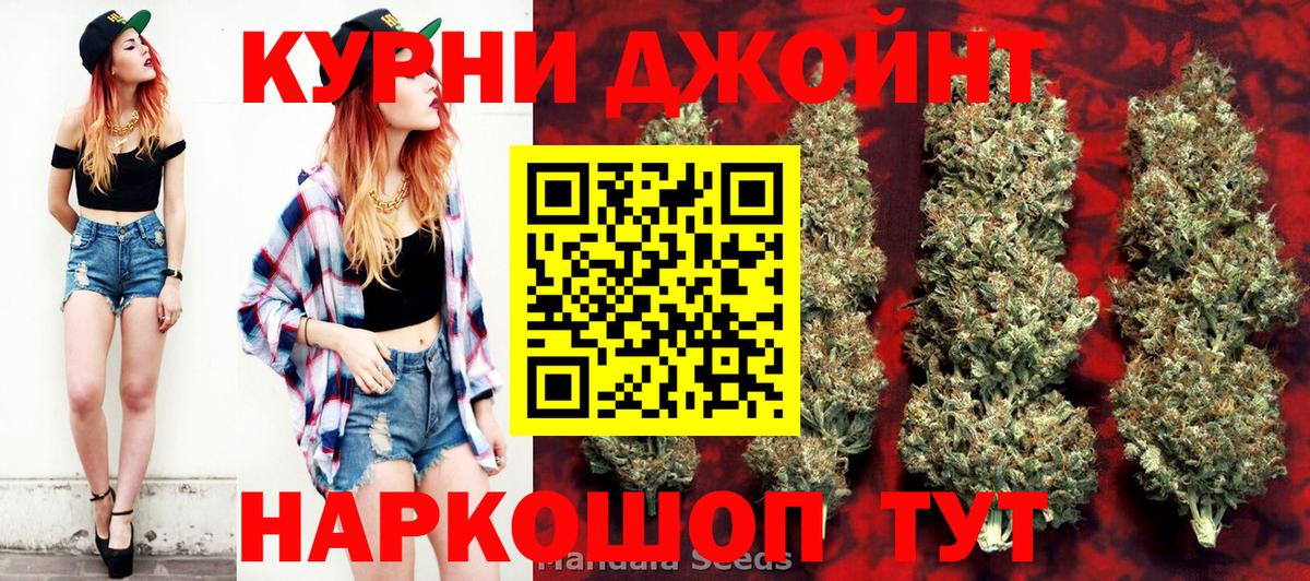 Конопля сатива  Вход с VPN  Бошки марихуана сатива  Севастополь  Каннабис OG Kush 